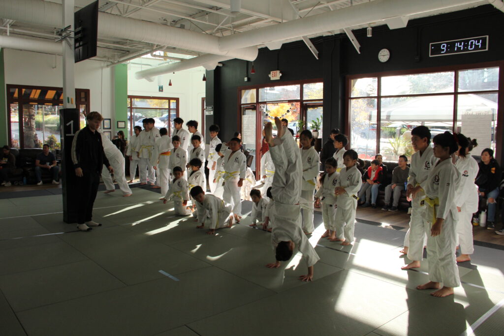 January Session (1/5-2/1) Updates